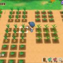 복합목장 이미지