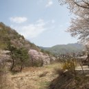산안1리 티스토리