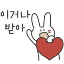 다누비 열차 이미지