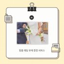제이앤컴퍼니(JN COMPANY) 티스토리