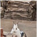 가가동물원 이미지