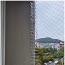 비둘기2길 | 실외기 위의 골칫거리, 드디어 해결! [세이브프롬 비둘기 퇴치 서비스] 이용후기