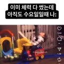 SPC GFS노동조합 | [칠월기록] '이때의 용기란 곧 사랑이겠죠' | Ripped Pants &amp; Dappled Sunlight 잎잔빛, 반얀트리 풀...