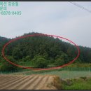 토지(임야)경매-2017타경107995, 영천시 토지(임야)경매♠♠경북 영천시 신녕면 부산리- 특수물건경매