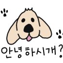 테크노웰 동물병원 이미지