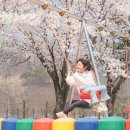 증산초교병설유치원 이미지
