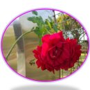 서곶공원(운동장) 이미지