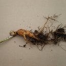 금산4구 이미지