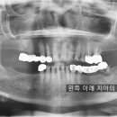 365드림치과병원 이미지