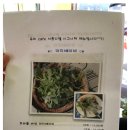 디엘샐러드카페 이미지