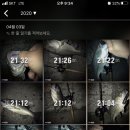 아폴로 스테이 이미지