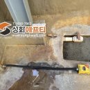 성화식품