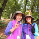 자양유치원 이미지