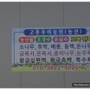 고흥마늘상회 이미지