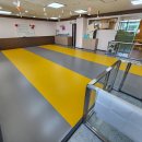 엘리스펫 이미지