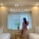 월령소라스테이 이미지