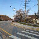 청당산업길 네이버블로그