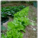 이천농장 이미지