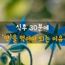 💊＜식후 30분에 약을 먹어야 되는 이유＞ 💊 이미지