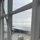 대륜 | 대륜 대련 중국 패키지 여행 후기