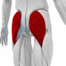 탐스짐 휘트니스 이미지