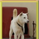 참진축산 이미지