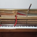 삼정상회 이미지