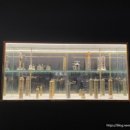 강원수산횟집 이미지