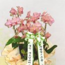 1004꽃집 이미지