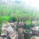 소키우는집 이미지