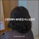 바이오파크진단(주) | 송도 센트럴파크 미용실 이로쌤 퍼스널염색 진단 받은 찐 후기