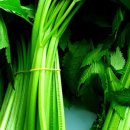 인제농장 이미지