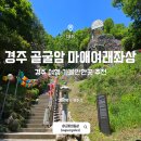 마애여래좌상 | 경주 가볼만한곳 골굴사 골굴암 마애여래좌상 경주 가족여행 코스 추천
