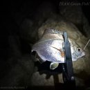 갯바위 | 갯바위 바다낚시 후기. '던질찌'로 해보는 전갱이 낚시 (울산 동구 민섭횟집 앞 갯바위)