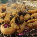 꼼장어와양갈비