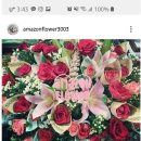 아마존 꽃 식물원 네이버블로그