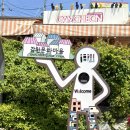 감내카페 벽화 | 부산 감천문화마을 카페 감내카페 하늘마루 전망대 근처 가격 정보