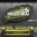 제주도 항공권과 렌트카 최저가 검색! 트립닷컴 예약 내돈내산 후기
