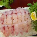 홍어 식당 이미지