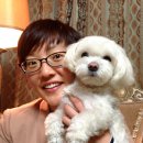 협동동물병원 이미지