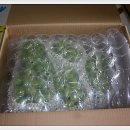 김재형농장 이미지