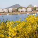 소양강카서비스 이미지