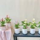 성산구청 이미지