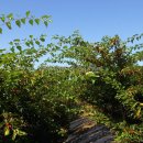 한창농장 이미지