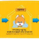 정든동물병원 이미지