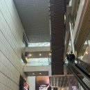 [코엑스] 2024 서울리빙디자인페어 방문후기/짐보관/소요시간