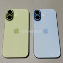 블루세이지 | [애플] 아이폰17 미스트 블루, 세이지 실물 후기.