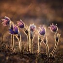 의료법인 이라의료재단 이미지