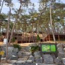 솔향기캠핑장 | [태안/캠핑장/글램핑] 만리포솔향기캠핑장 예약 경쟁 치열한 인기 캠핑장 솔직 후기