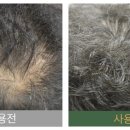 홍홍뷰티크